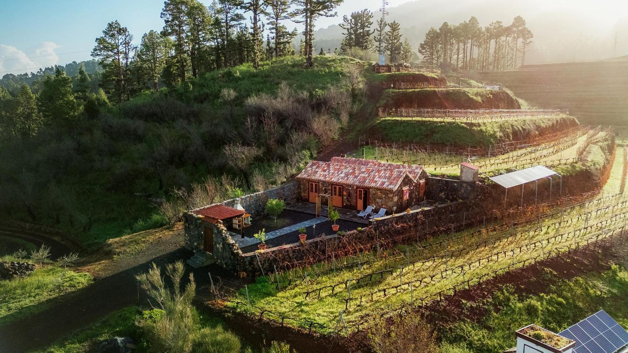 Finca Hortensia El Castillo  Экстерьер фото