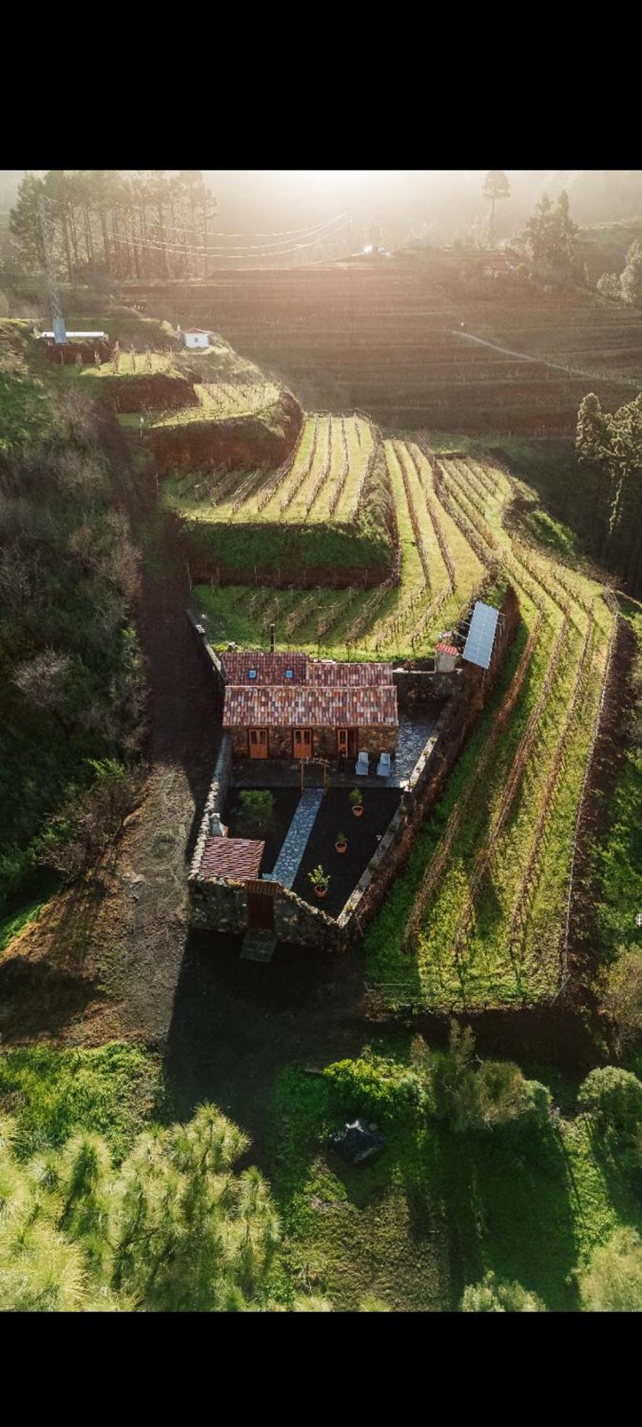 Finca Hortensia El Castillo  Экстерьер фото